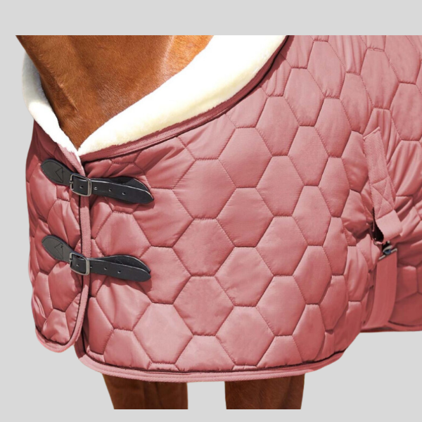 Couverture d'écurie Classy QHP