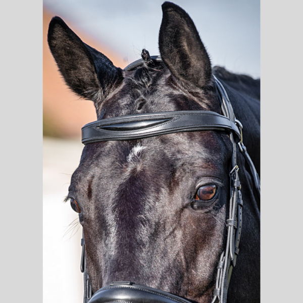 Frontal Plat Rembourré En Cuir Avec Détail En Cuir Verni B0420