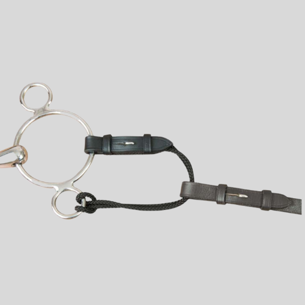 Alliance De Mors Cuir Et Corde