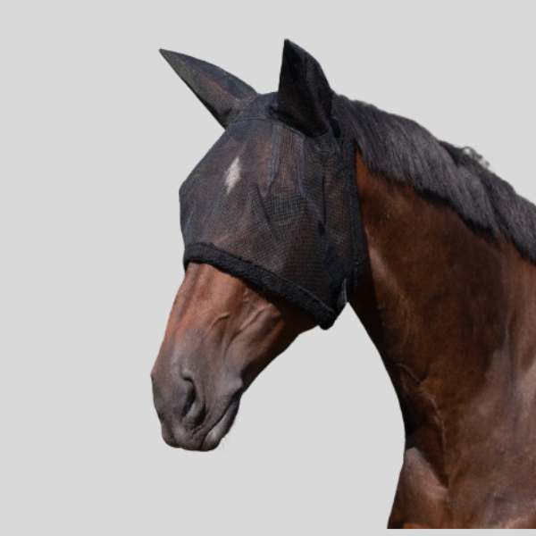 Bonnet anti mouche QHP