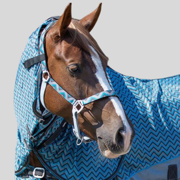 Chemise anti mouche QHP zigzag