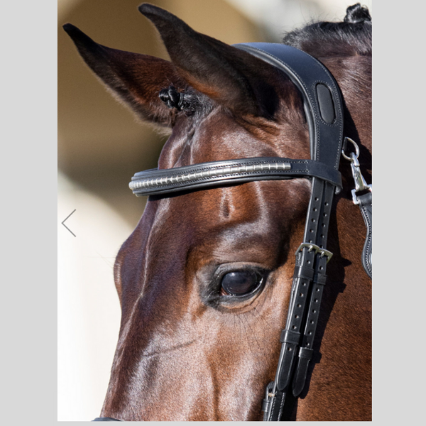 Frontal clincher Equiline B0424